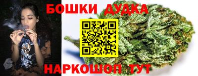 шишки Бузулук