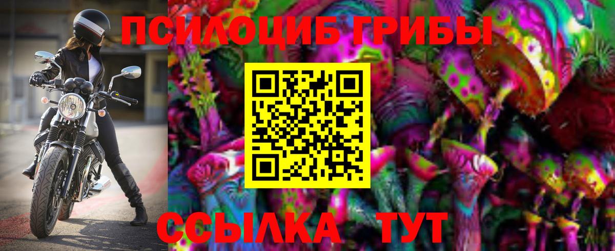 Галлюциногенные грибы Magic Shrooms  Вход с VPN  Псилоцибиновые грибы GOLDEN TEACHER  Тара 